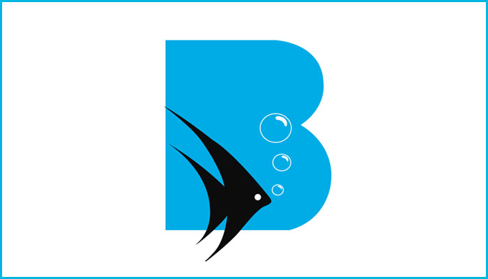 Seafood company in Gujarat veraval gidc